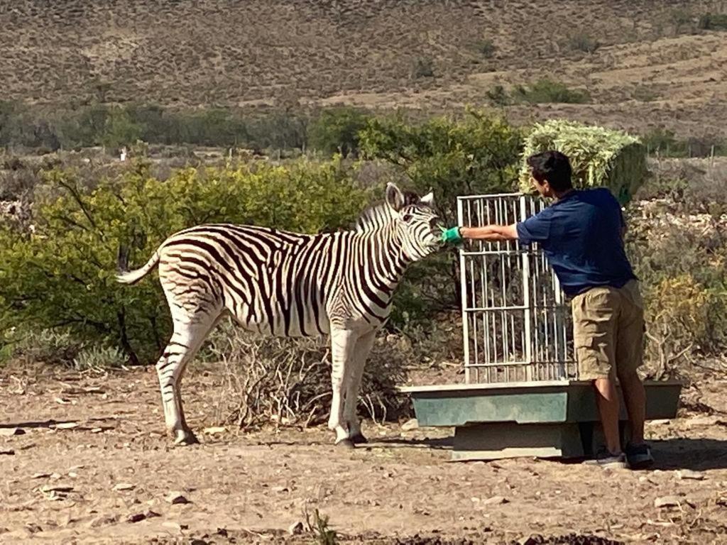 Aardvark Bioreserve Ladismith Buitenkant foto